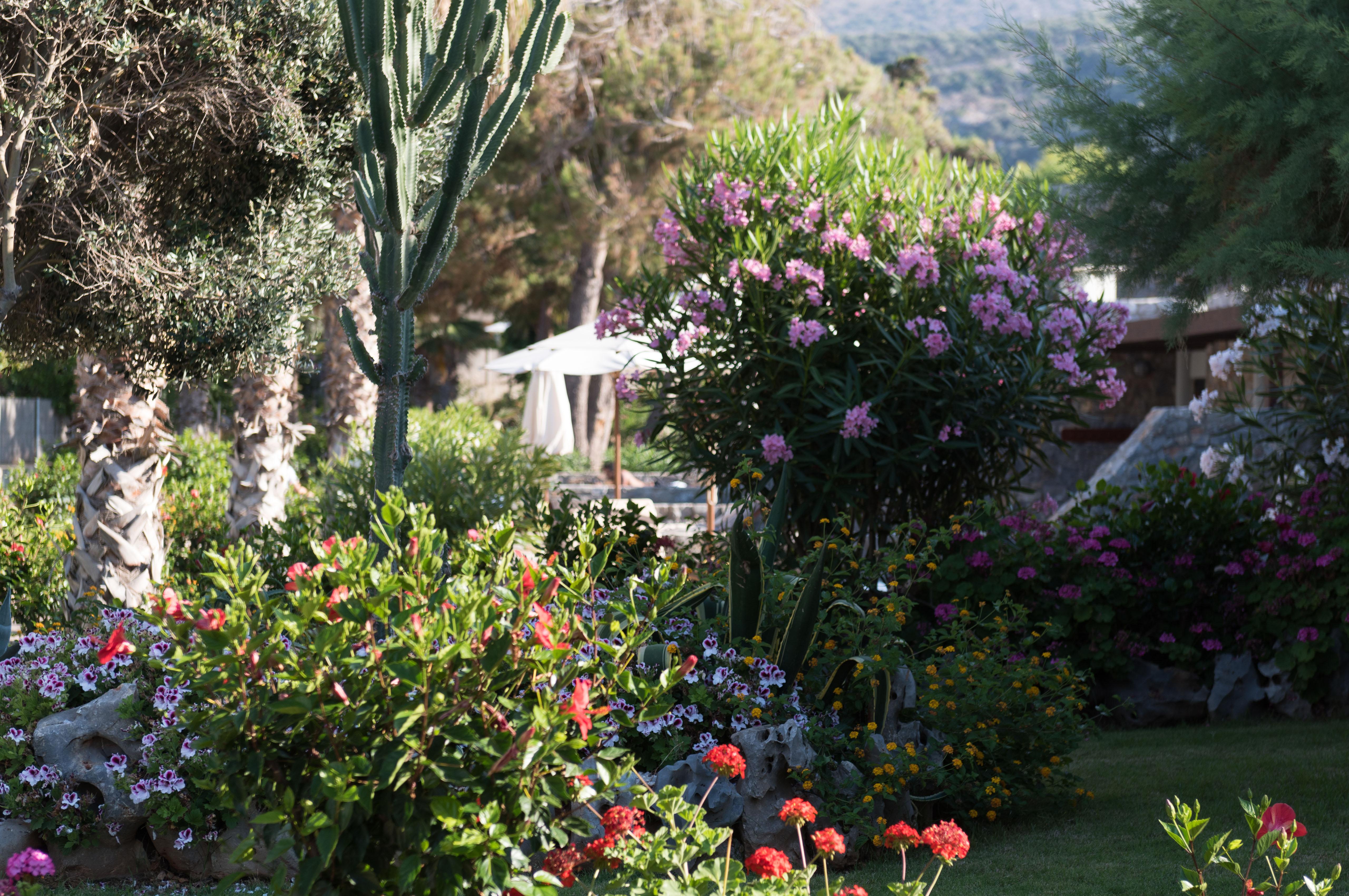 Ikaros Beach, Luxury Resort & Spa - Adults Only Malia Eksteriør billede